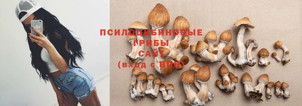 гидра Баксан