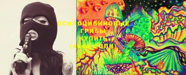 гидра Баксан