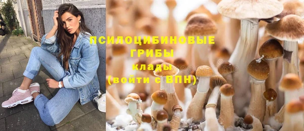 гидра Баксан