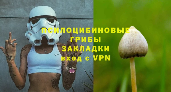 хмурый Балабаново